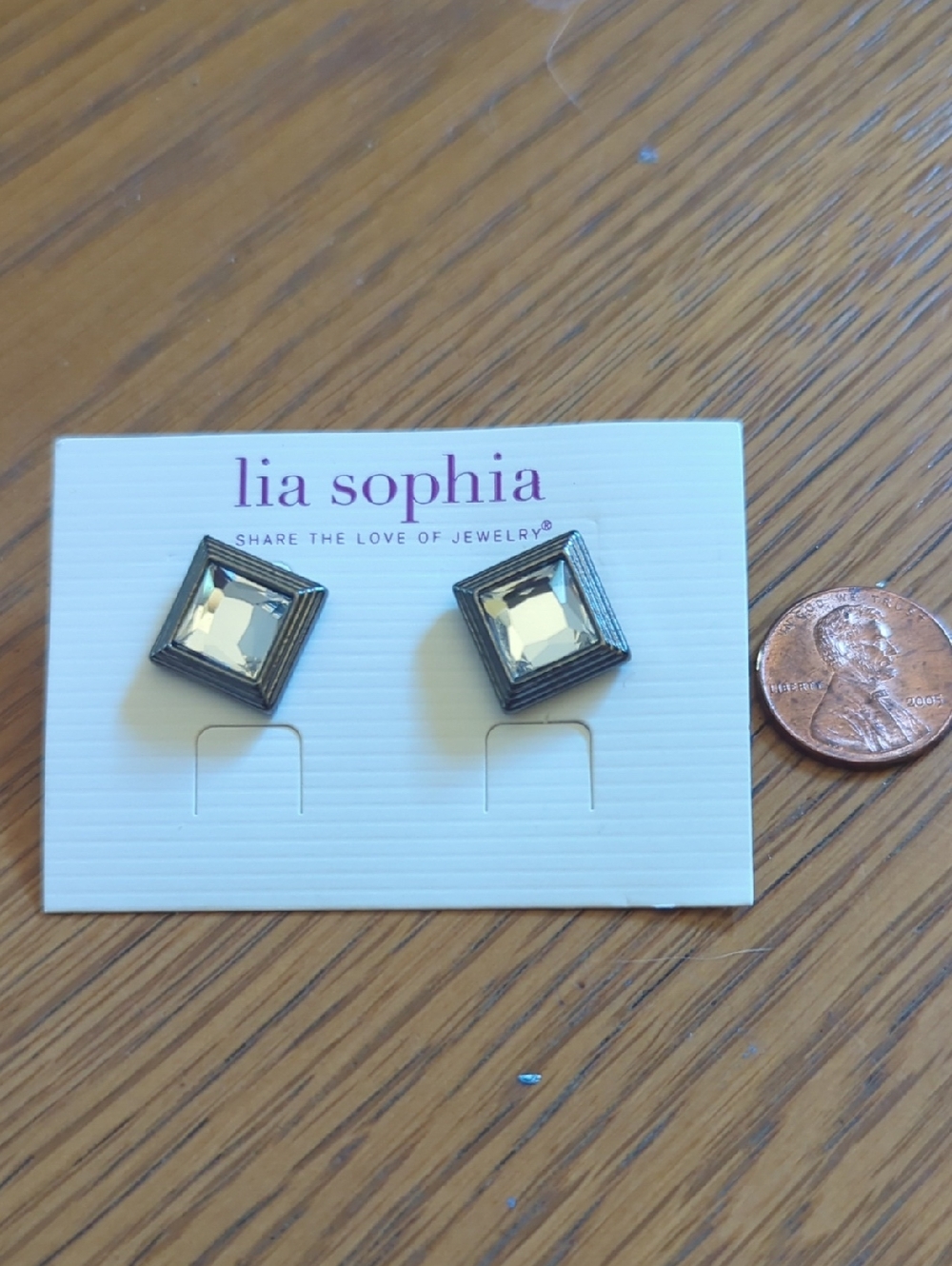 Lia Sophia Clear Crystal Square Stud Earrings with Silver Frame